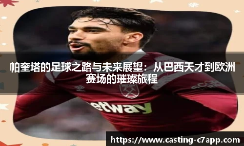 c7娱乐公司